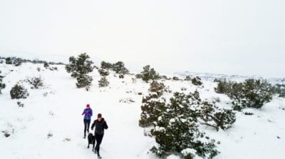 Fresh tracks on Coyote Ridge