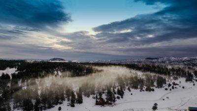 Fog flows above trees on an early morning in Southwest Colorado.