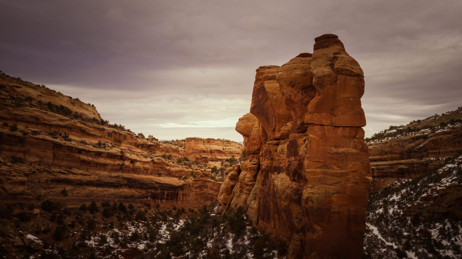 A fin of rocks splits the canyon.