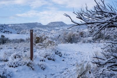 A trail marker in the snow.