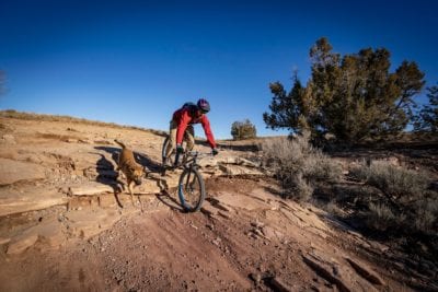 A man and his dog rolling a ledge on the Horsethief Bench trail near Fruita, Colorado.