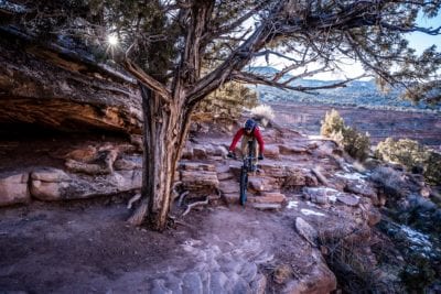 The sun pokes through a tree near the first drop move on the Horsethief Bench trail in the difficult Dead Cow Gully section.