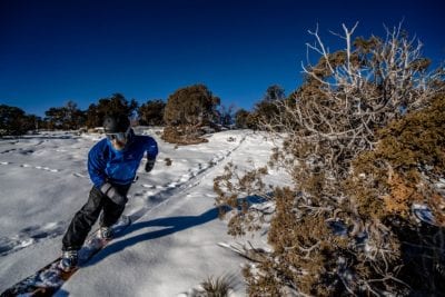In hardboots on a snowboard carving through small juniper trees in the desert near Grand Junction, Colorado